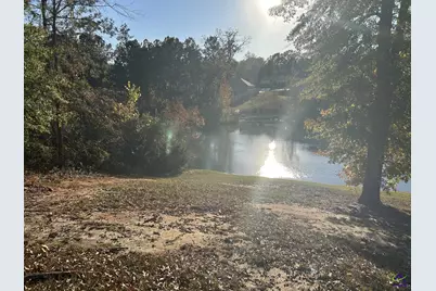 407 Arlington Falls Court, Bonaire, GA 31005 - Photo 3