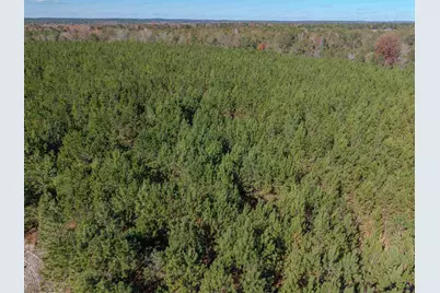 000 Avera Road, Roberta, GA 31078 - Photo 5