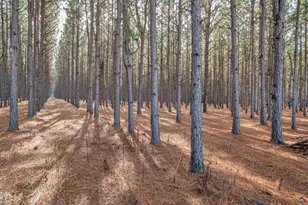 202 John Cobb Rd, Hawkinsville, GA 31036 - Photo 35