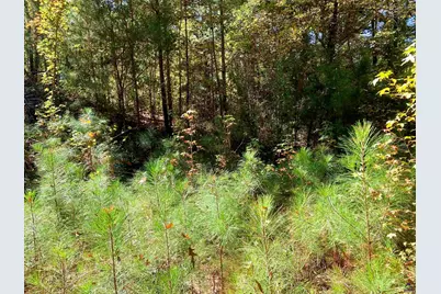 106 Maple Glen Court, Centerville, GA 31028 - Photo 17