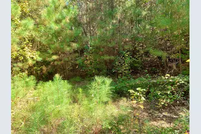 106 Maple Glen Court, Centerville, GA 31028 - Photo 15