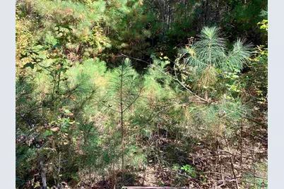 106 Maple Glen Court, Centerville, GA 31028 - Photo 13