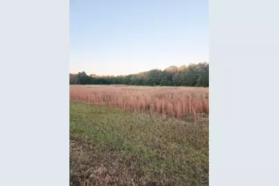 Tractc-1B &amp;c1A Kersey Road, Elko, GA 31025 - Photo 3