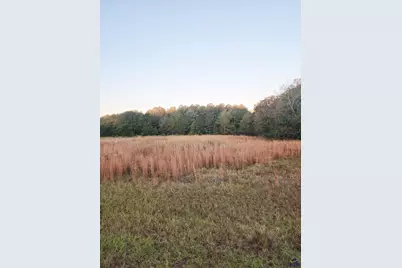 Tractc-1B &amp;c1A Kersey Road, Elko, GA 31025 - Photo 1