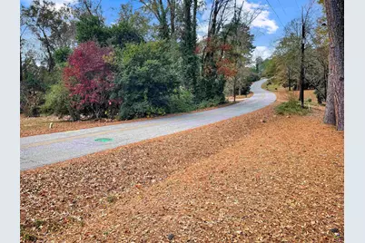 231 Alexandria Drive, Macon, GA 31210 - Photo 29