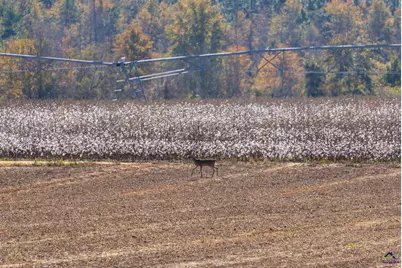 500 Joe Lawrence Road, Ashburn, GA 31714 - Photo 17