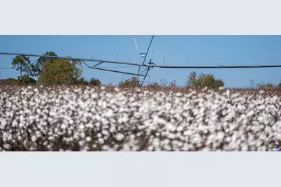 500 Joe Lawrence Road, Ashburn, GA 31714 - Photo 19