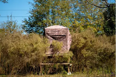 500 Joe Lawrence Road, Ashburn, GA 31714 - Photo 33