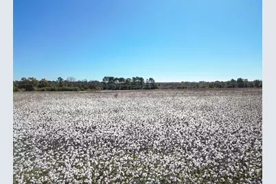 500 Joe Lawrence Road, Ashburn, GA 31714 - Photo 13