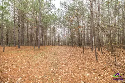 101 Mission Farm Road, Gordon, GA 31031 - Photo 5