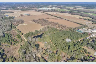 Sandbed Road/Hwy 247 Road, Kathleen, GA 31047 - Photo 11