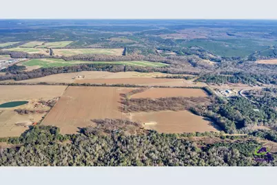 Sandbed Road/Hwy 247 Road, Kathleen, GA 31047 - Photo 39