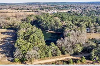 Sandbed Road/Hwy 247 Road, Kathleen, GA 31047 - Photo 37