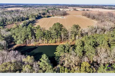 Sandbed Road/Hwy 247 Road, Kathleen, GA 31047 - Photo 23