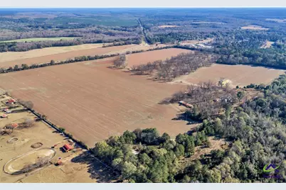 Sandbed Road/Hwy 247 Road, Kathleen, GA 31047 - Photo 5