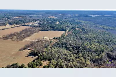 Sandbed Road/Hwy 247 Road, Kathleen, GA 31047 - Photo 3