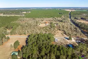 4065 Gordon Rd, Abbeville, GA 31001 - Photo 43