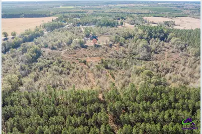 4065 Gordon Road, Abbeville, GA 31001 - Photo 47