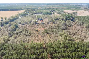 4065 Gordon Rd, Abbeville, GA 31001 - Photo 47