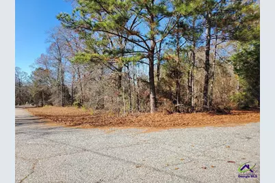 Tyler Court, Fort Valley, GA 31030 - Photo 1