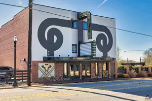 118 Bramblewood Way, Perry, GA 31069 - Photo 17