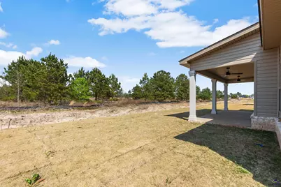 126 Early Drive, Byron, GA 31008 - Photo 45