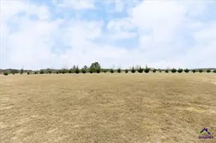 701 Pitts Rd, Elko, GA 31036 - Photo 77