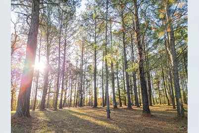 727 Old Andersonville Road, Americus, GA 31711 - Photo 37