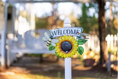 727 Old Andersonville Road, Americus, GA 31711 - Photo 59