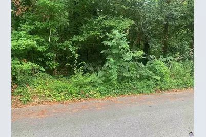 1171 Washington Street, Macon, GA 31204 - Photo 5