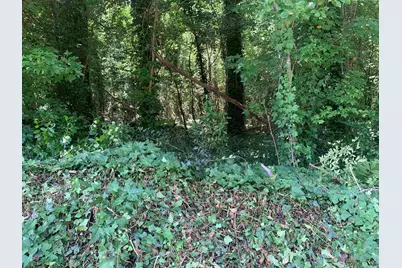 1171 Washington Street, Macon, GA 31204 - Photo 11