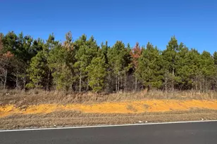 Lot 5A Whitfield Rd, Elko, GA 31025 - Photo 1