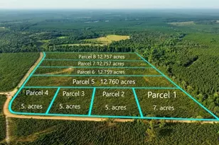 Parcel 2 Whipporwill Rd, Reynolds, GA 31076 - Photo 1