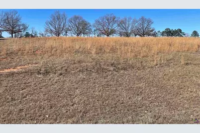 Lot 16 Camden Way, Hawkinsville, GA 31036 - Photo 3