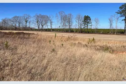 Lot 4 Camden Way, Hawkinsville, GA 31036 - Photo 5