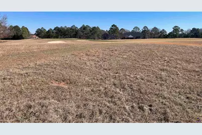 Lot 35 Crabapple Dr, Hawkinsville, GA 31036 - Photo 3