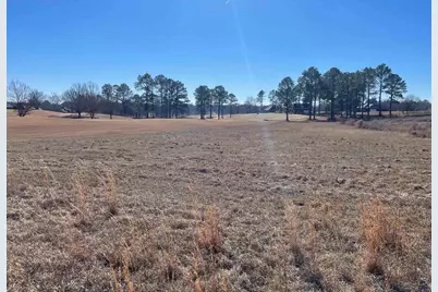 Lot 35 Crabapple Dr, Hawkinsville, GA 31036 - Photo 7