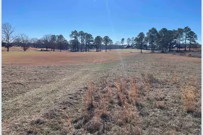 Lot 35 Crabapple Dr, Hawkinsville, GA 31036 - Photo 9