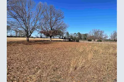 Lot 35 Crabapple Dr, Hawkinsville, GA 31036 - Photo 11