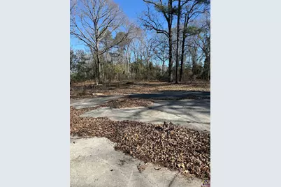 102 Canion, Kathleen, GA 31047 - Photo 1