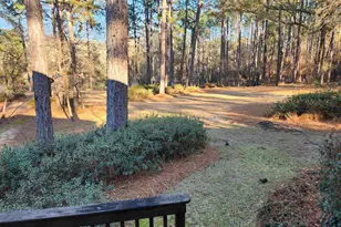 113 Beverly Dr, Bonaire, GA 31005 - Photo 17