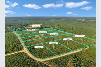 Parcel 7 Carl Rodgers Rd., Reynolds, GA 31076 - Photo 1