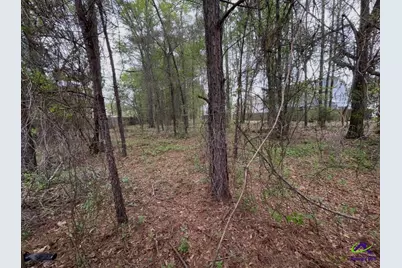 108 Dog Fennel Lane, Perry, GA 31069 - Photo 31