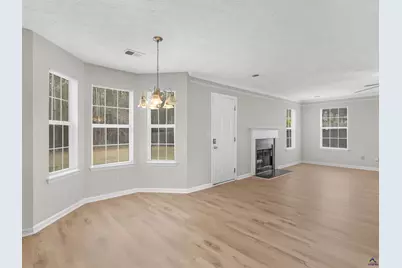 230 Millsone Drive, Hampton, GA 30228 - Photo 15