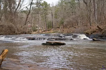 0 S 42 Highway, Forsyth, GA 31029 - Photo 9