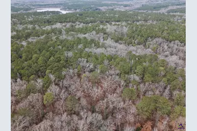 0 S 42 Highway, Forsyth, GA 31029 - Photo 5