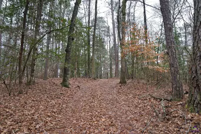 0 S 42 Highway, Forsyth, GA 31029 - Photo 13