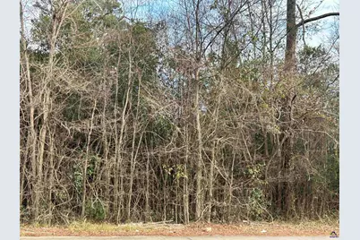 3266 Bloomfield Drive, Macon, GA 31206 - Photo 1