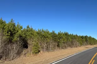 Lot 3A Whitfield Rd, Elko, GA 31025 - Photo 1