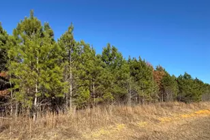 Lot 7A Whitfield Rd, Elko, GA 31025 - Photo 1